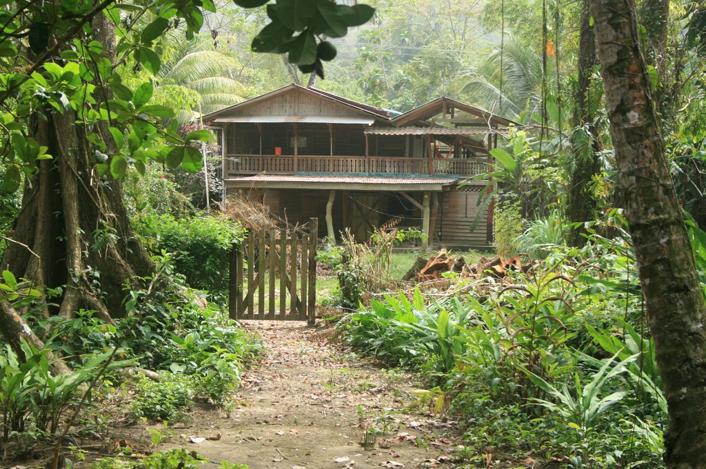 Limón Province, Puerto Viejo de Talamanca, Costa Rica by Flore Víquez