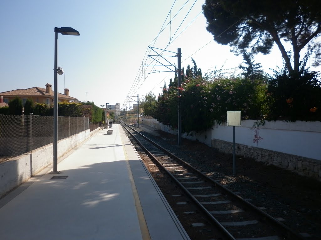 En el apeadero del tram by pintatrenes