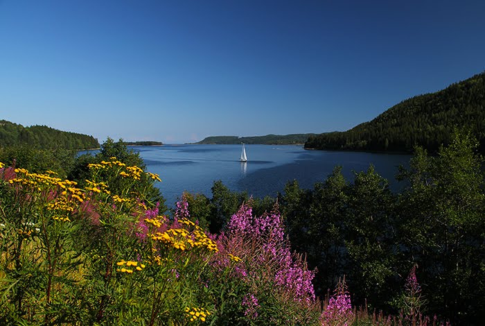 Höga Kusten, Foto Agne Säterberg, AGMA Forntid & Äventyr AB, Destination Höga Kusten, www.destinationhogakusten.com by Agne Säterberg, Destination Höga Kusten