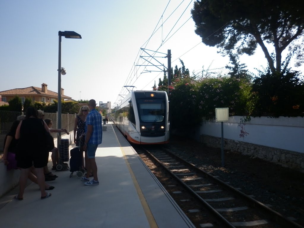 Llega el tram by pintatrenes