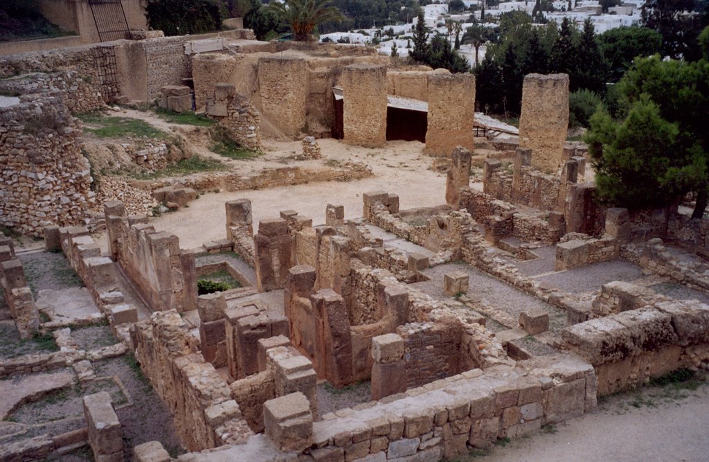 Punic quarter on a hill Byrsa by IPAAT