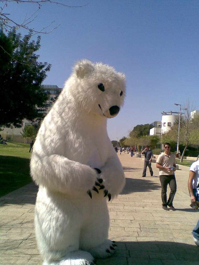 Exotic technion bear by Tanya P