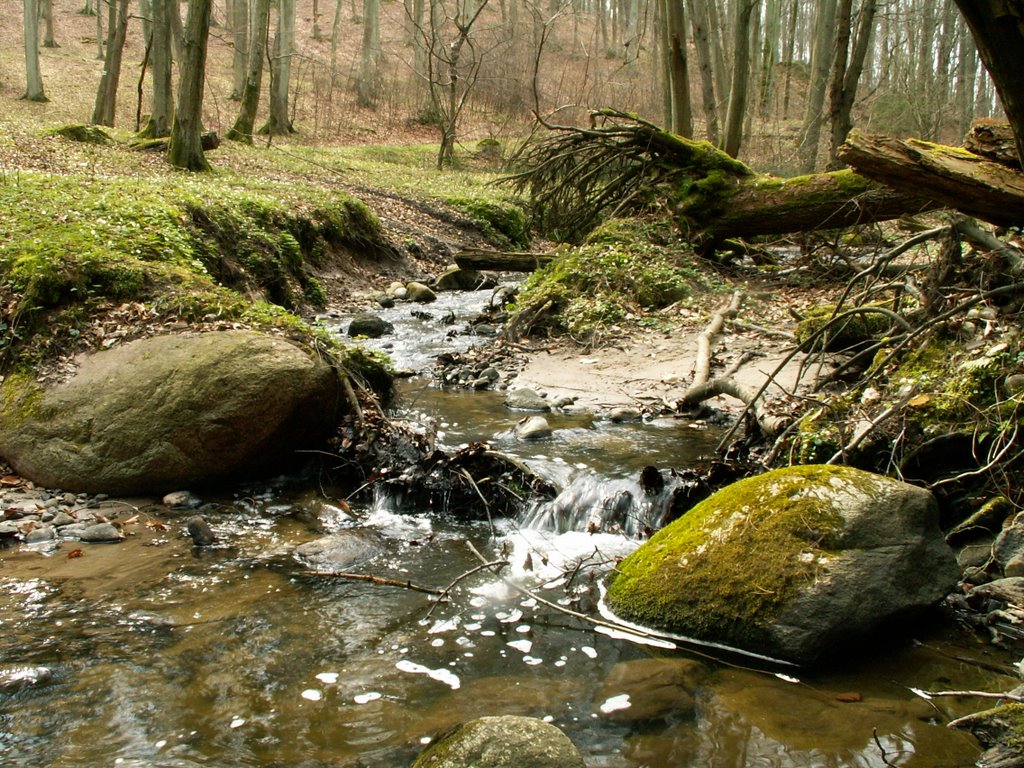 Strzyza Valley, Gdansk by Duncan Eames