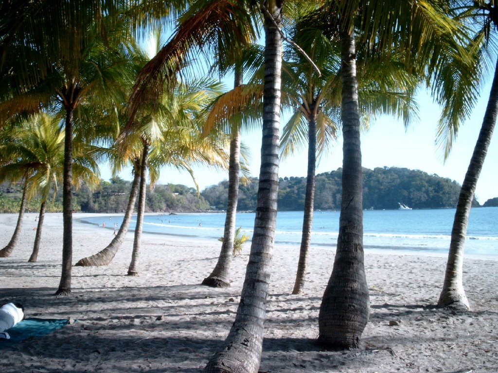 Palm beach at the Pacific Puntarenas by W.Austermühle HOG. G…