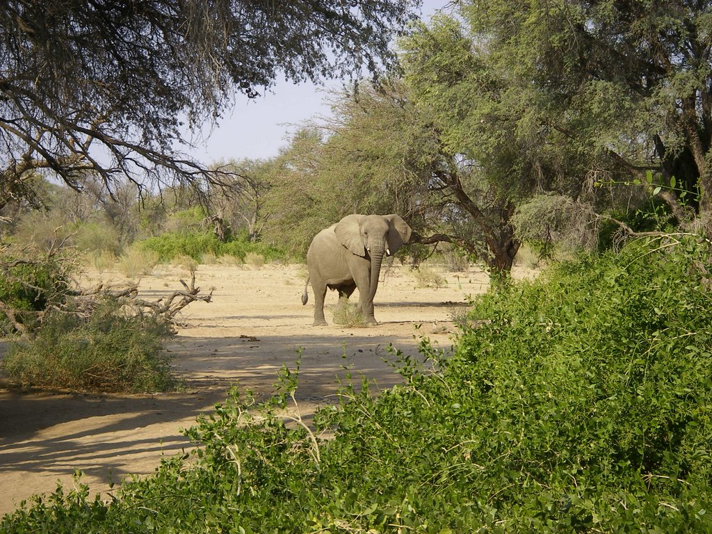 Kunene, Namibia by kleine leopardin