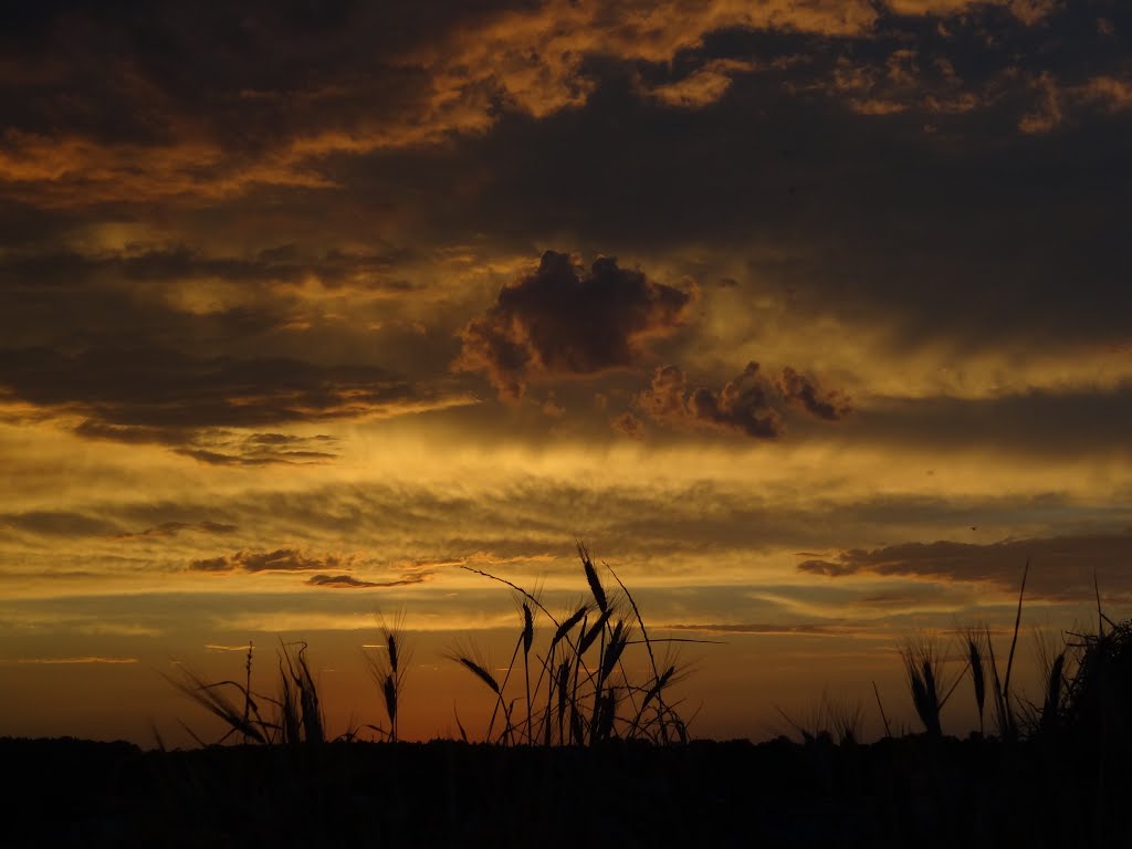 Sonnenuntergang Oberndorf by Wolve Welles