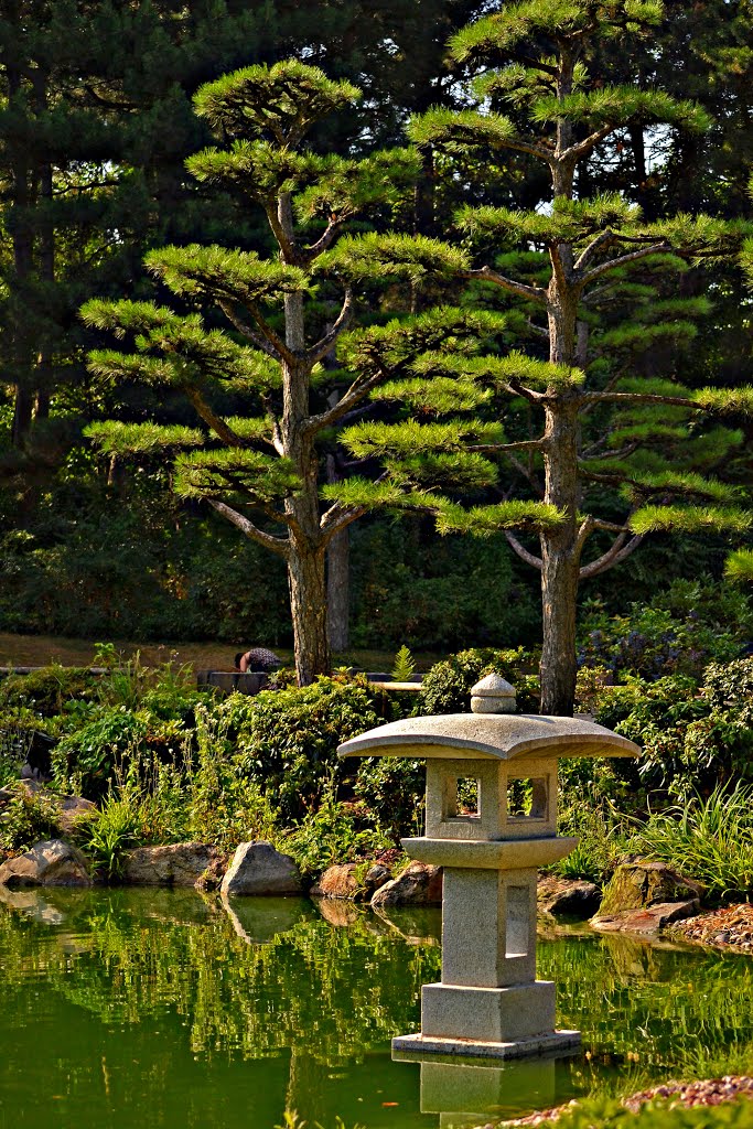 Japanischer Garten Düsseldorf by Niederkrüchte