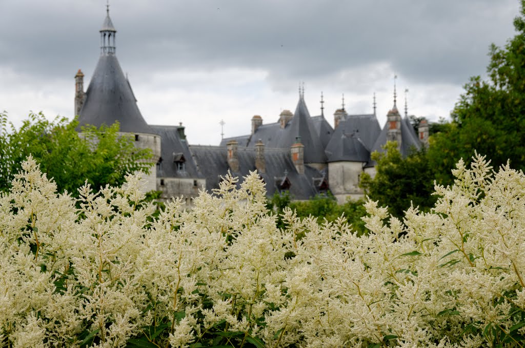 Garden and Castel by brussels100