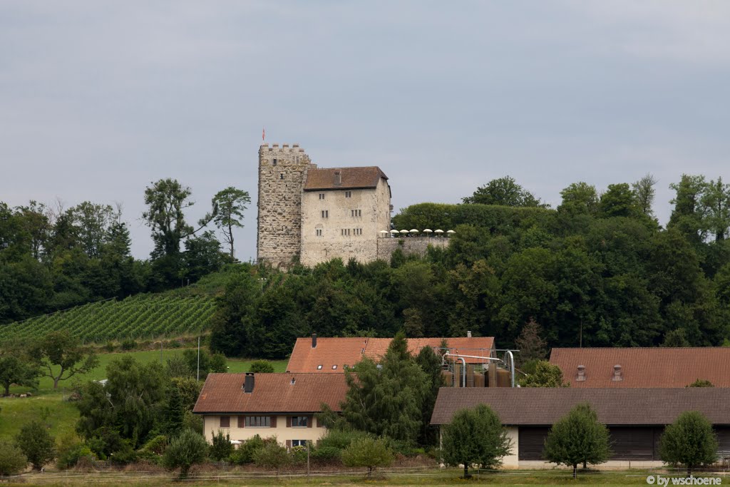 Schloss Habsburg by WESO