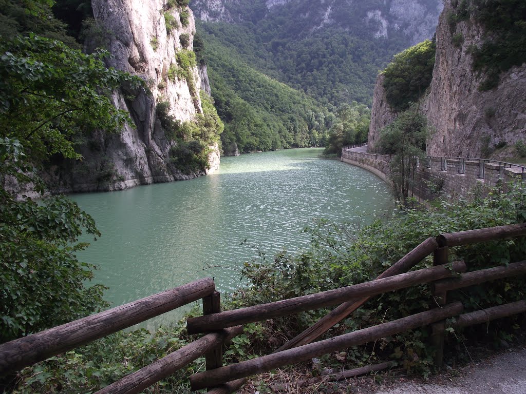 Passo del Furlo (PU) - Candigliano River by feduzipierpaolo