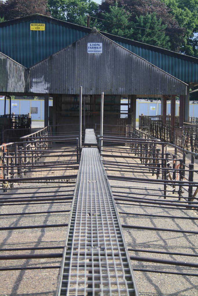 Abergavenny Cattle Market by David Owen