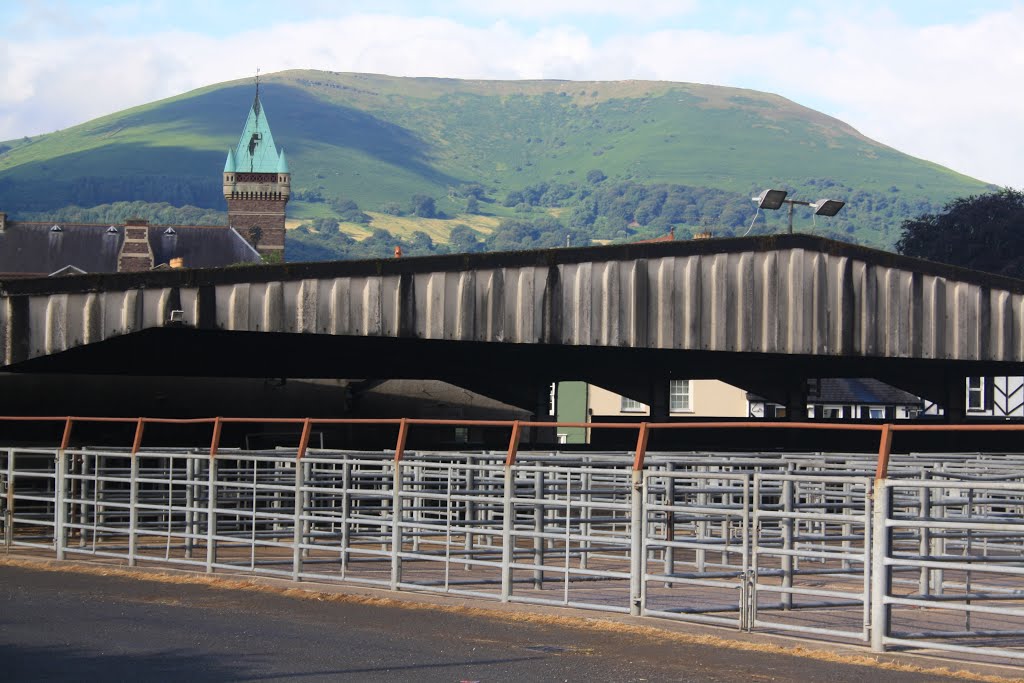 Abergavenny Cattle Market by David Owen