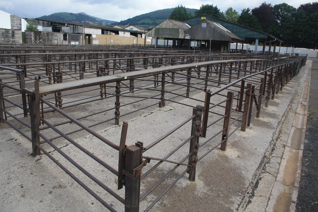 Abergavenny Cattle Market by David Owen