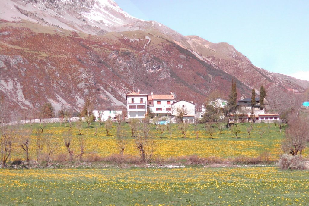 Casa Castán campo amarillo by jnerin