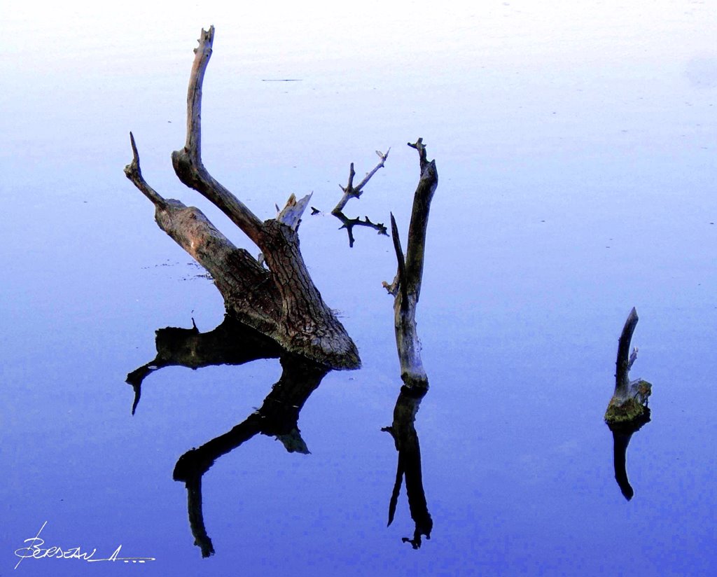 "reflets"...CADEROUSSE...VAUCLUSE...FRANCE. by BORDEAU Alain.(NO VI…