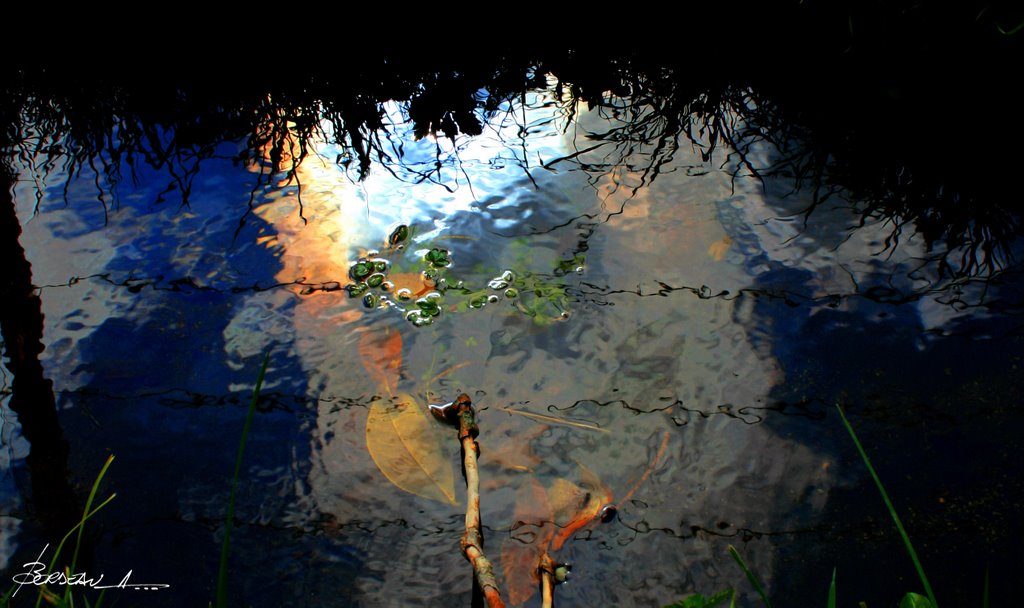 "reflets"...COULAINES...SARTHE...FRANCE. by BORDEAU Alain.(NO VI…