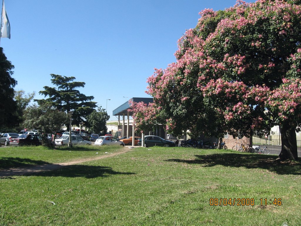 PARQUE DEL HOSPITAL POSADAS DE HAEDO....BY CARCALVET by carcalvet