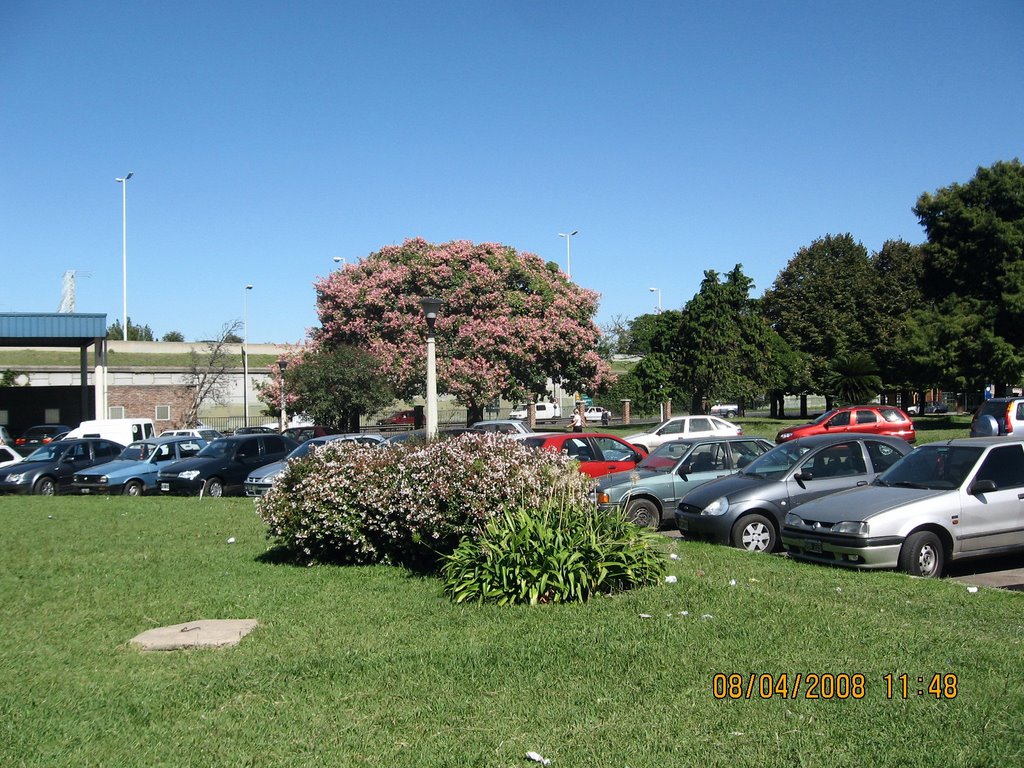 PARQUE DEL HOSPITAL POSADAS DE HAEDO....BY CARCALVET by carcalvet