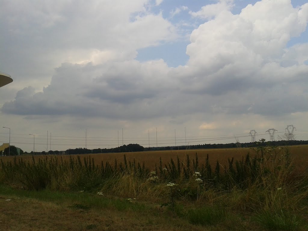 Les pilonnes de Saint Assises vue de la nationale 7 à Boissise le Roi le 24/07/13. by Divio