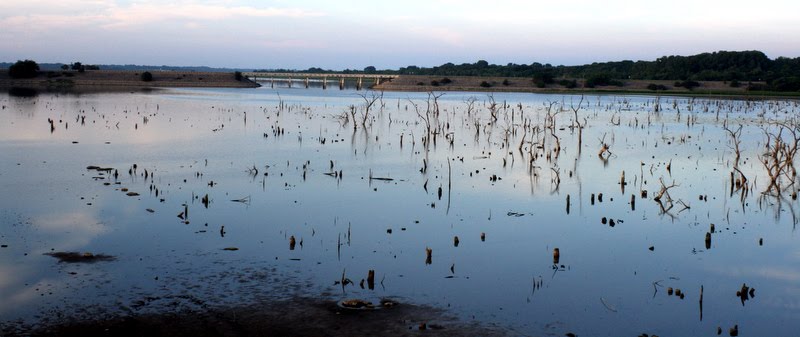 Lake Lavon, Sister Grove Creek by Xonid1