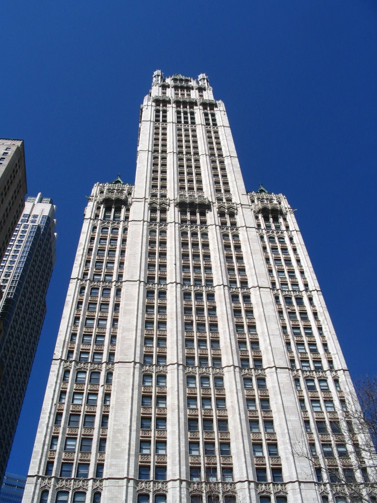 Woolworth Building by gouch3