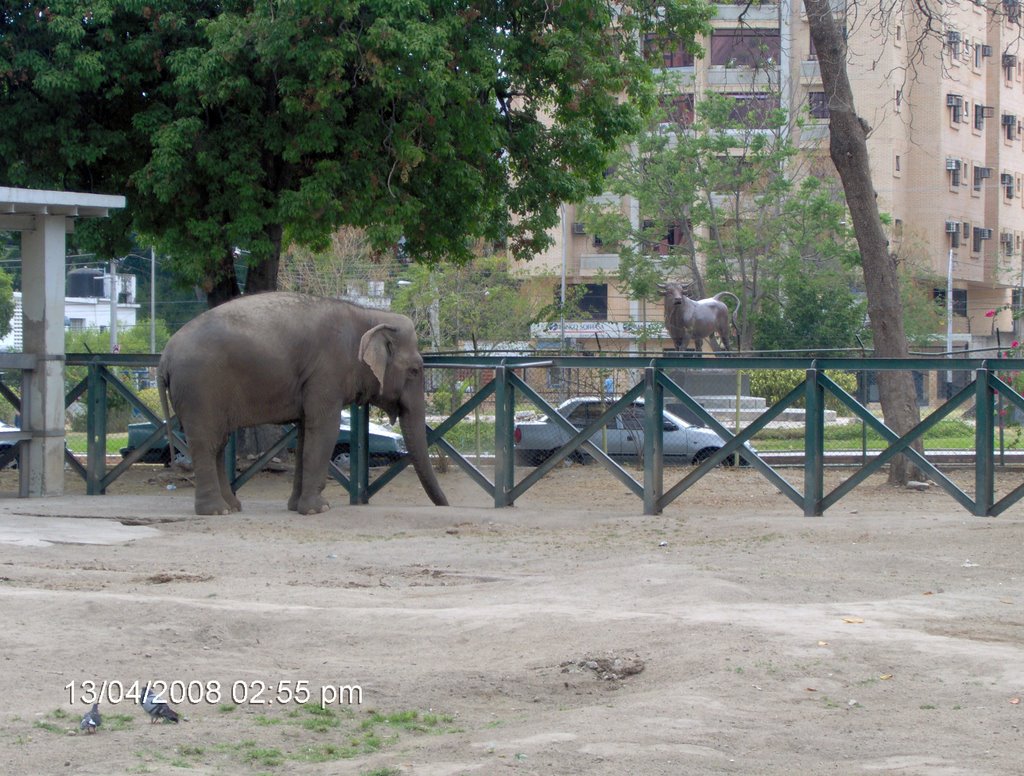 Zoologico de Maracay ( al fondo la redoma El Toro ) by Carlos J Perez M