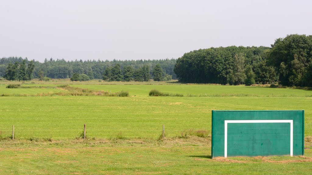 130716 MEESTER THEELENSTRAAT HELENAVEEN DEURNE speelweide en echte weide - playing field by meadow by peterbankers