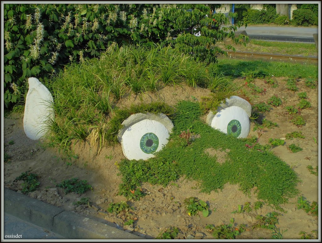 Street face plants at Sieglar Street circle by OssisDet