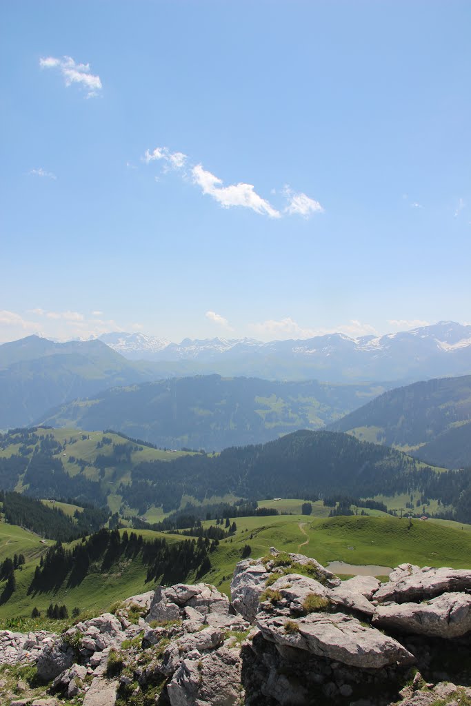 View near the Cabane de la Videmanette by 6004592