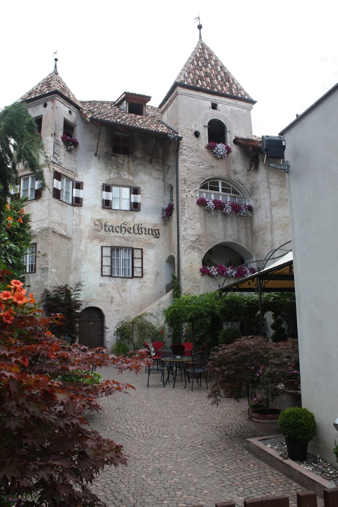 Stachelburgkeller by Moehris