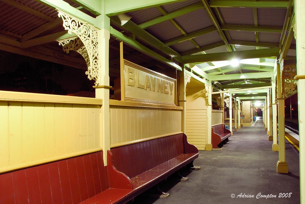 The main platform, Blayney Rly. Stn. Jan 2008 by Adrian Compton