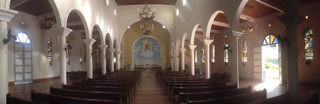 Igreja Matriz de Pouso Alto - MG (interior) by Clebicar