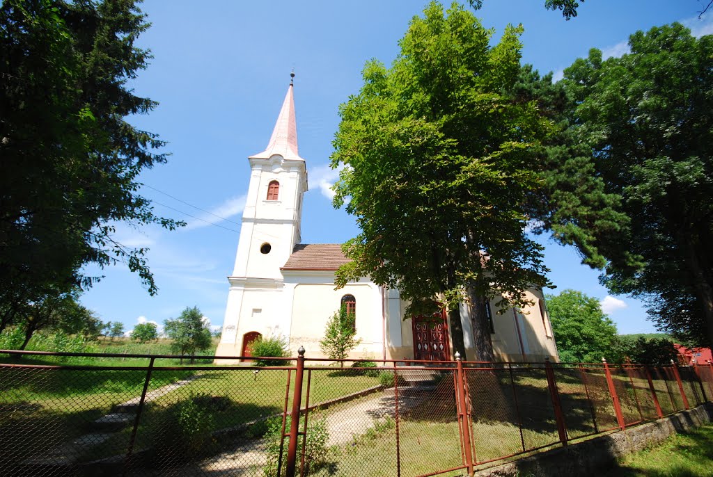 Biserica Reformata Livezeni by Alexandru Losonczy