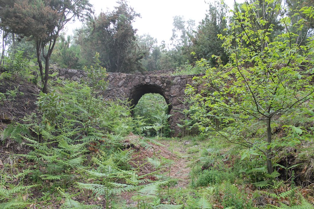 ≈ Área Recreativa de Chanajiga, Puente by mi_for