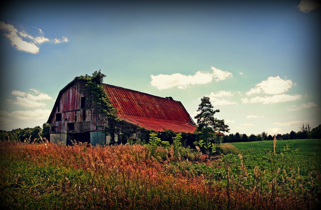 Rusty roof barn by Liv812