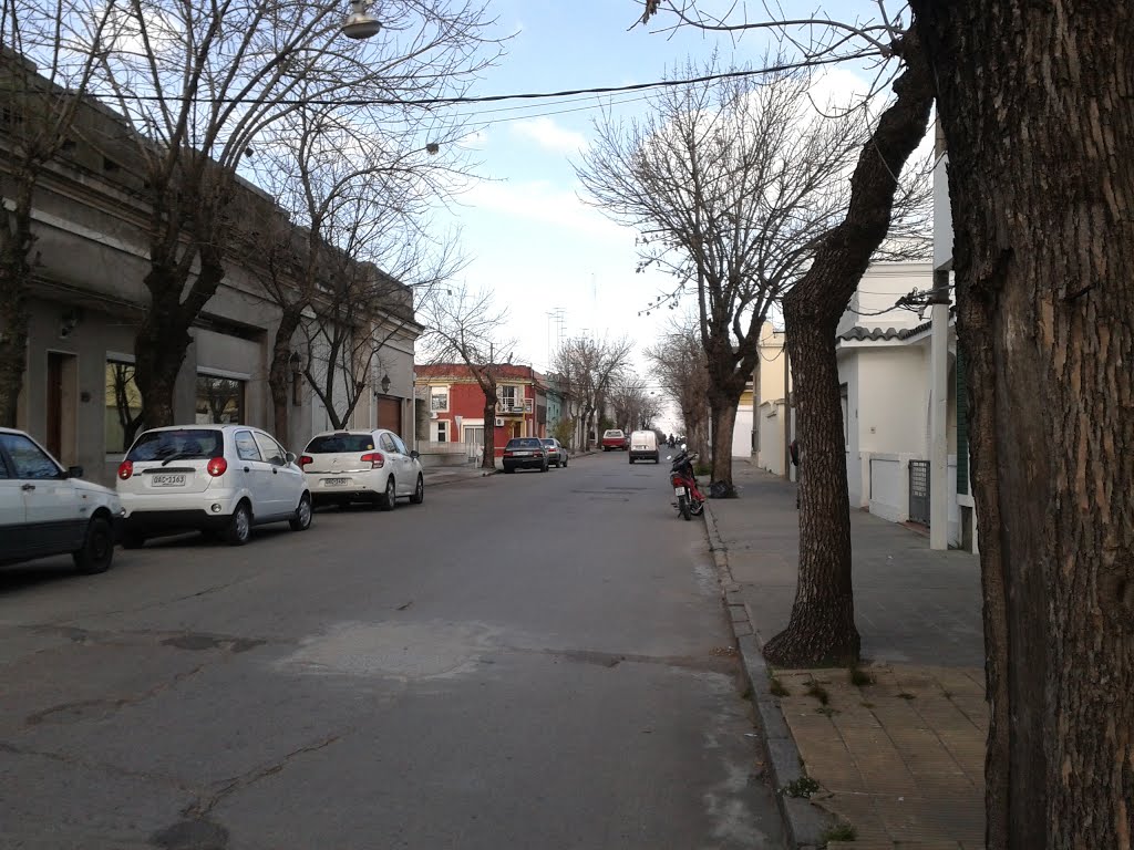 Calle Dr. Gonzalez casi Barreiro by Esteban PB