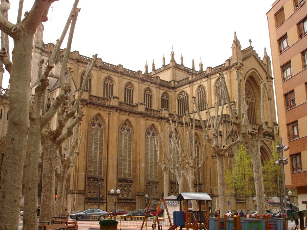 Catedral nueva de Alava by er_tute