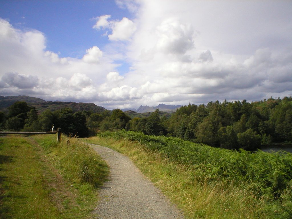 Langdale Pikes from Tarn Hows by JACP