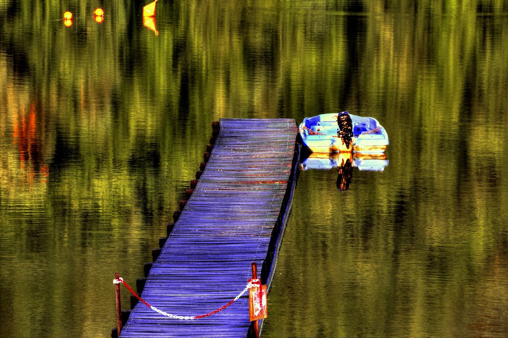 Calme plat sur le lac (Chambon) by kamotos