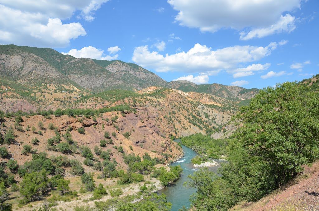 Tunceli yolu by Ertan Gueler