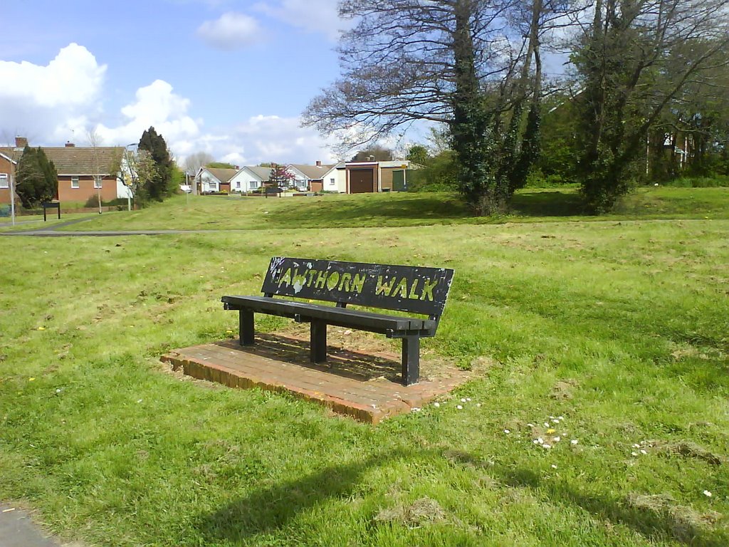 Hawthorn walk just off new road by amourdillo