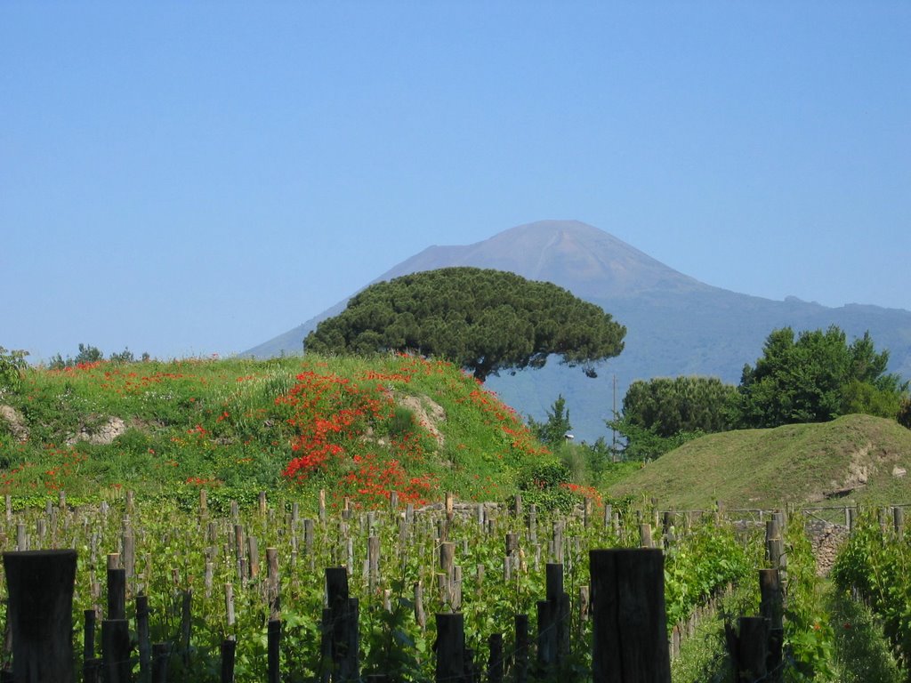 Mount Vesuvius by brianglaze