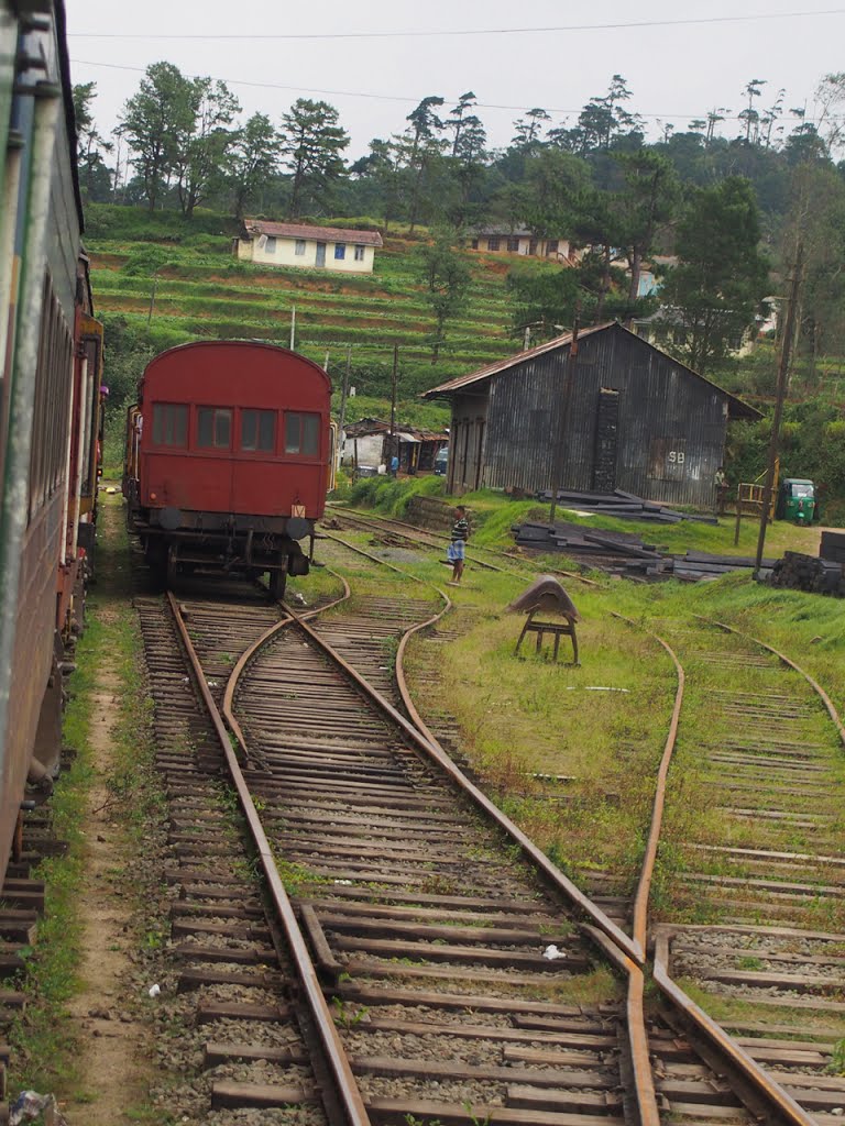 Ambewela Railway Station by butch24h