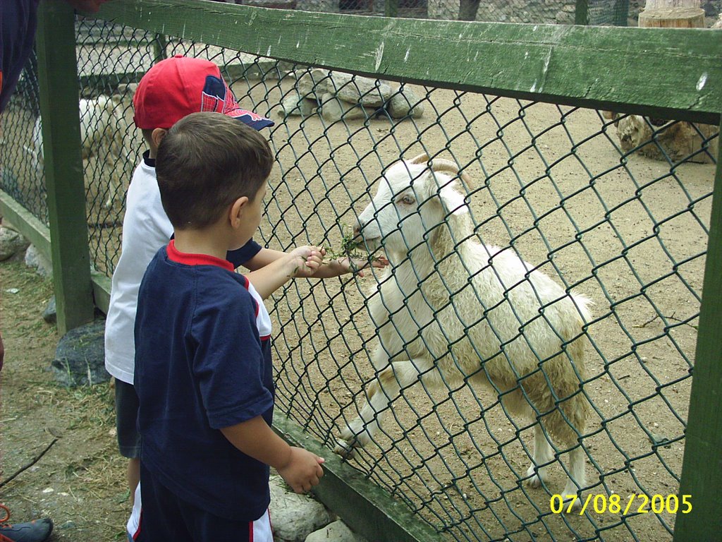 Bursa Zoo by Ahmet Gueres