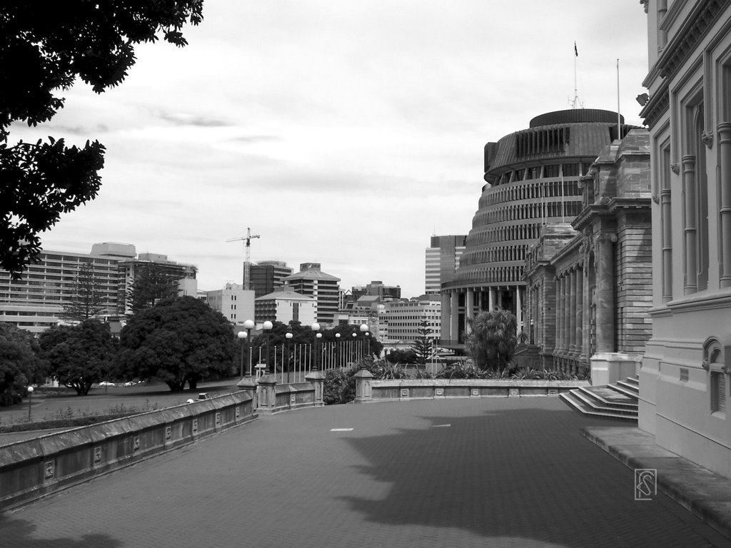 Wellington: Beehive from Parliament Library by Flavio Snidero