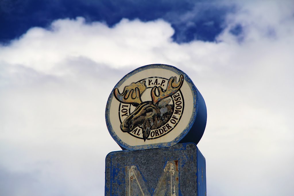 Moose Lodge Sign, Williamson West Virginia by John MacKinnon