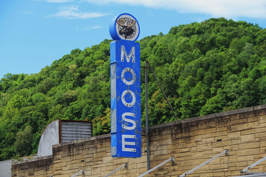 Moose Lodge Sign, Williamson West Virginia by jonmac33