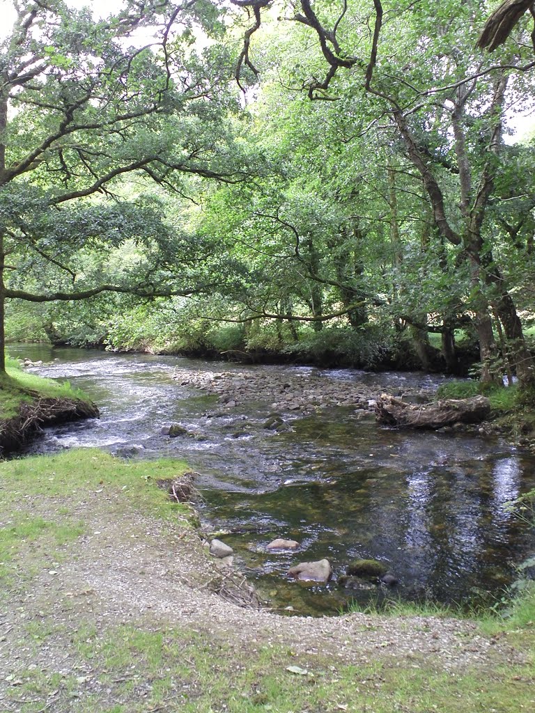 Magpie, River Walkham by cartoon kev