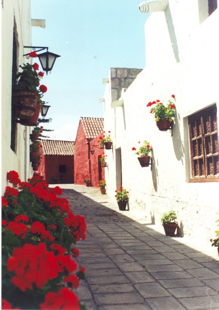 Convento Santa Catalina, Arequipa 2002 by Wilfredo Valverde Febres