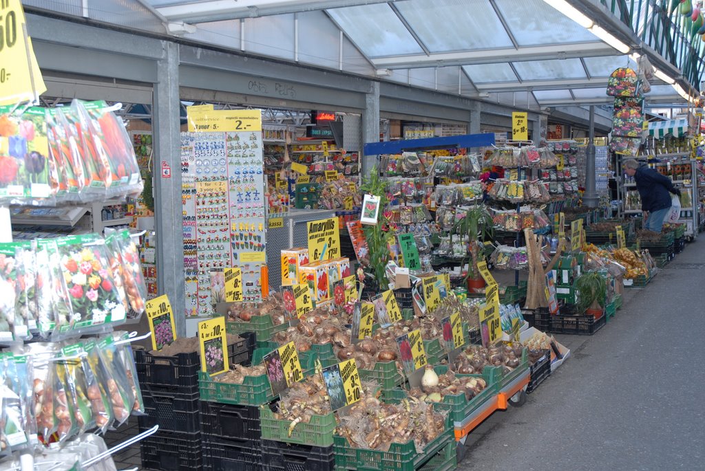 Mercado de las flores ( Amsterdam) by Miguel Perez de Sarr…